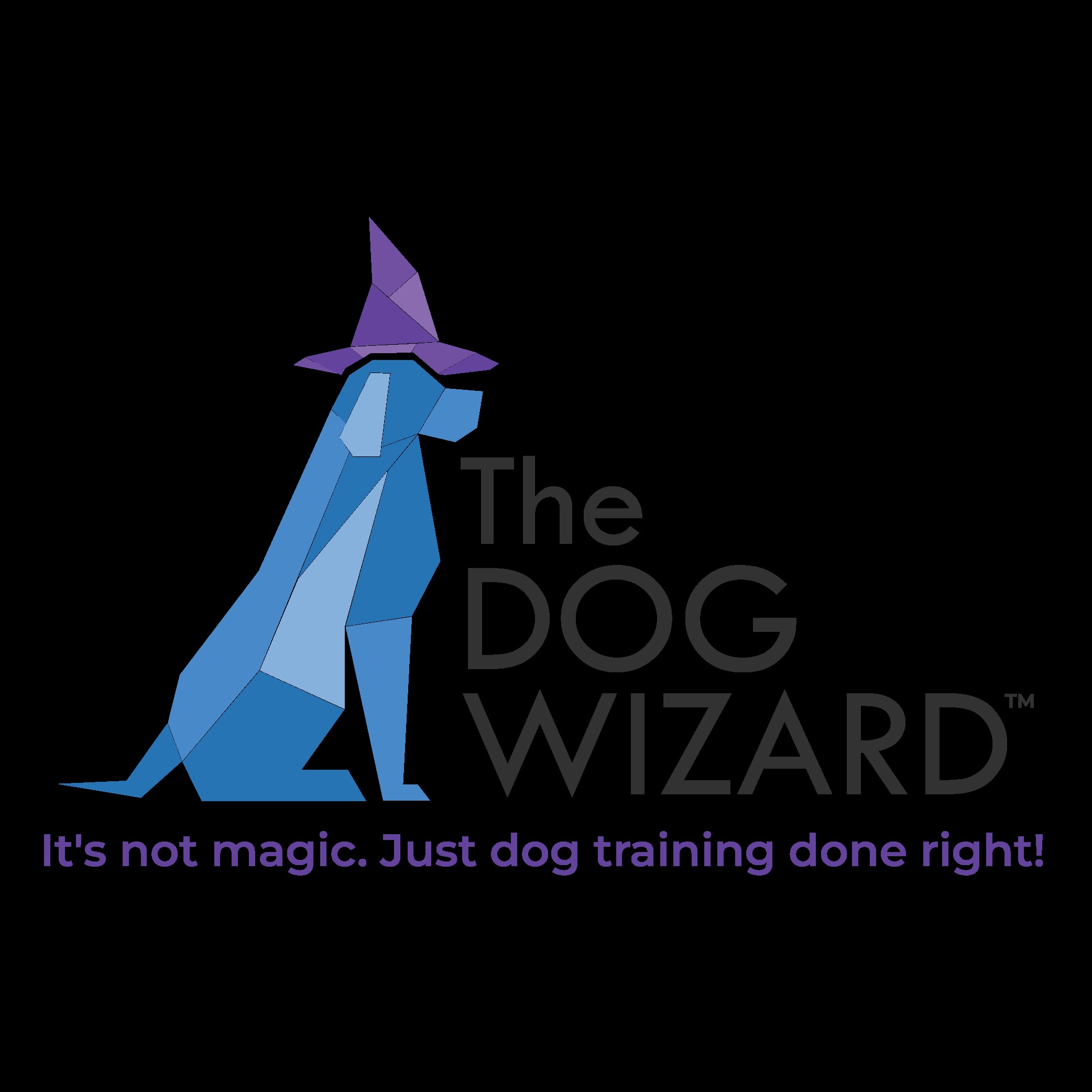 The Dog Wizard